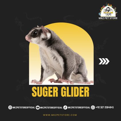 Suger Glider MKZ