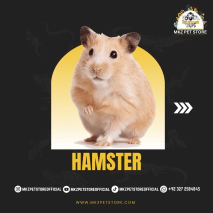 Hamster MKZ