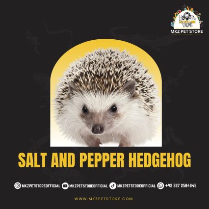 Hedgehog